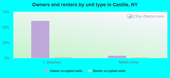 Owners and renters by unit type in Castile, NY