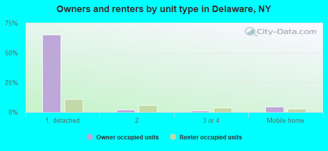 Owners and renters by unit type in Delaware, NY
