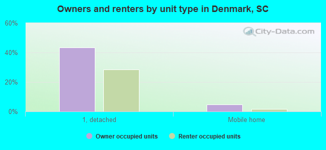 Owners and renters by unit type in Denmark, SC