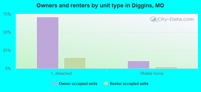 Owners and renters by unit type in Diggins, MO