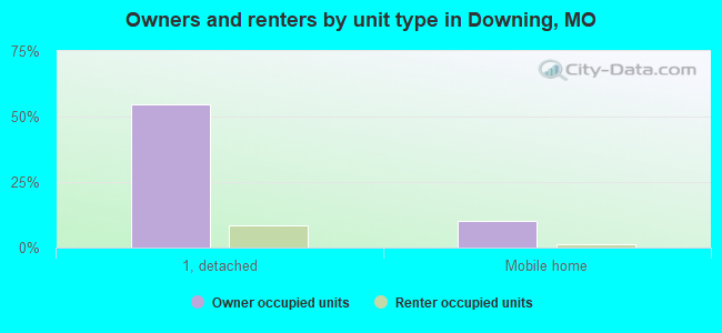 Owners and renters by unit type in Downing, MO
