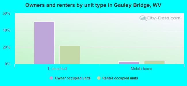 Owners and renters by unit type in Gauley Bridge, WV
