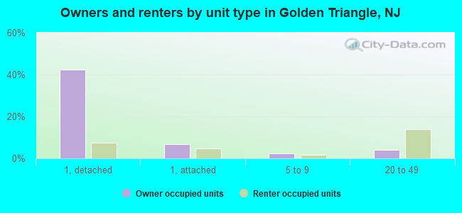 Owners and renters by unit type in Golden Triangle, NJ