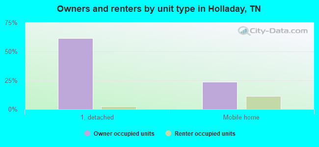 Owners and renters by unit type in Holladay, TN
