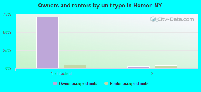 Owners and renters by unit type in Homer, NY