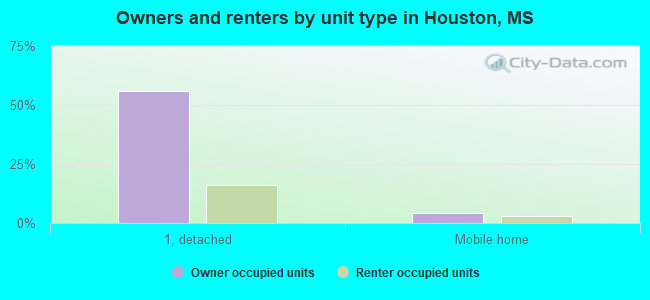 Owners and renters by unit type in Houston, MS