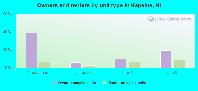 Owners and renters by unit type in Kapalua, HI