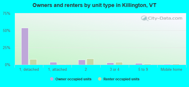 Owners and renters by unit type in Killington, VT