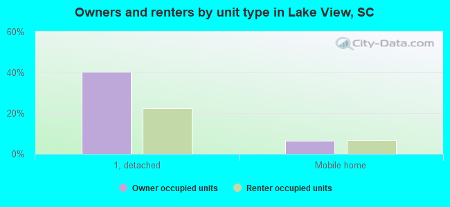 Owners and renters by unit type in Lake View, SC