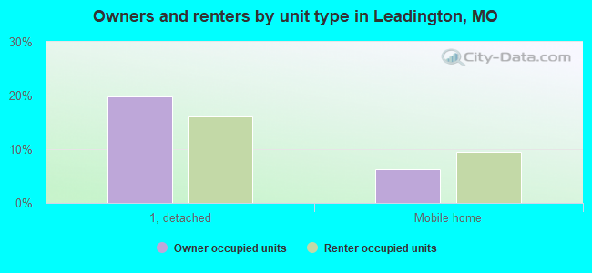 Owners and renters by unit type in Leadington, MO