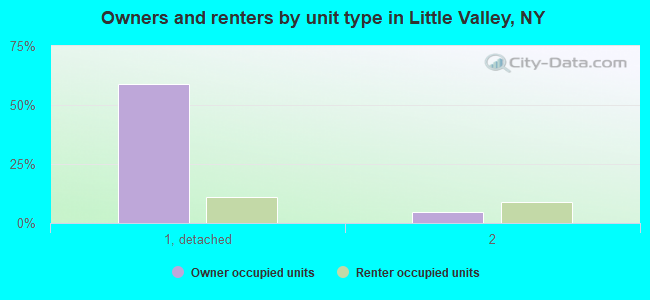 Owners and renters by unit type in Little Valley, NY