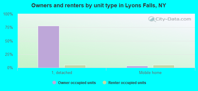 Owners and renters by unit type in Lyons Falls, NY