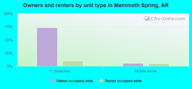 Owners and renters by unit type in Mammoth Spring, AR