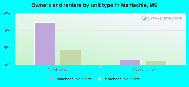 Owners and renters by unit type in Mantachie, MS