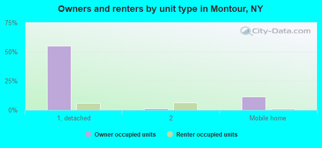 Owners and renters by unit type in Montour, NY
