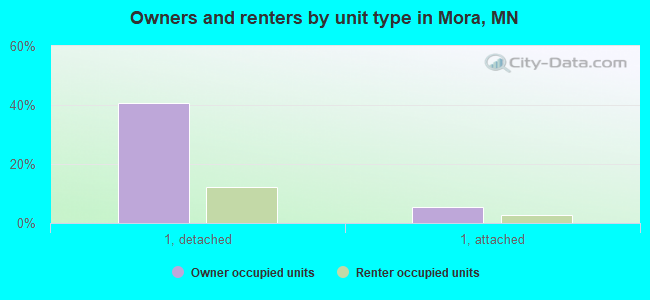 Owners and renters by unit type in Mora, MN