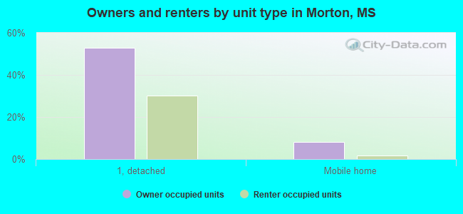 Owners and renters by unit type in Morton, MS