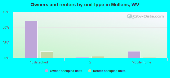 Owners and renters by unit type in Mullens, WV
