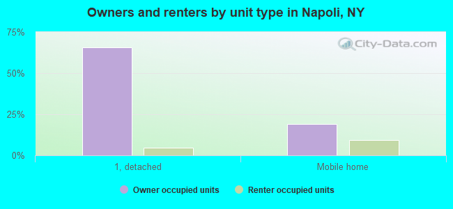 Owners and renters by unit type in Napoli, NY