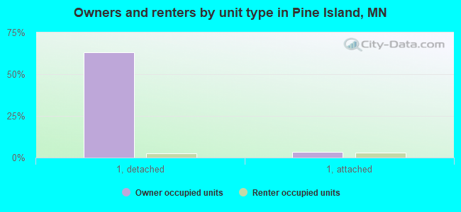 Owners and renters by unit type in Pine Island, MN