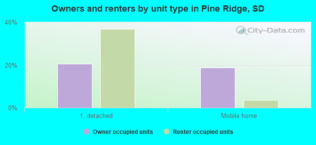 Owners and renters by unit type in Pine Ridge, SD