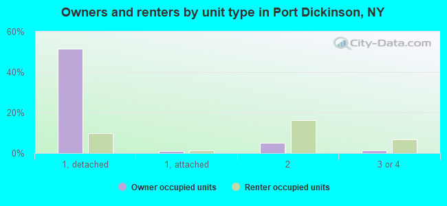 Owners and renters by unit type in Port Dickinson, NY