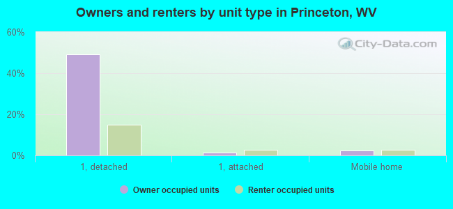Owners and renters by unit type in Princeton, WV