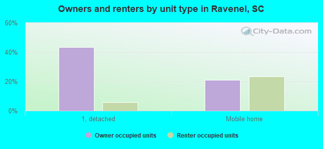 Owners and renters by unit type in Ravenel, SC