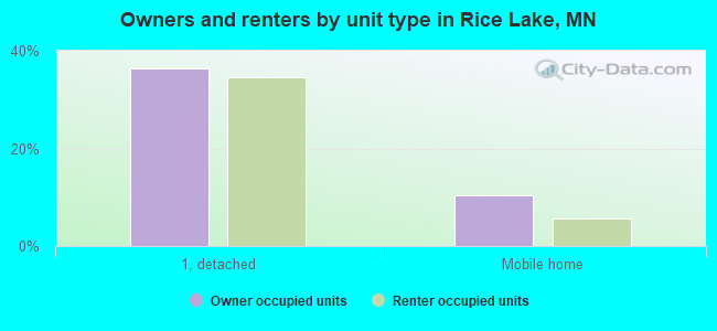 Owners and renters by unit type in Rice Lake, MN