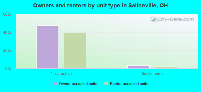 Owners and renters by unit type in Salineville, OH