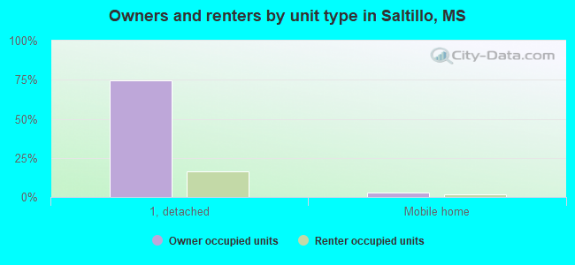Owners and renters by unit type in Saltillo, MS