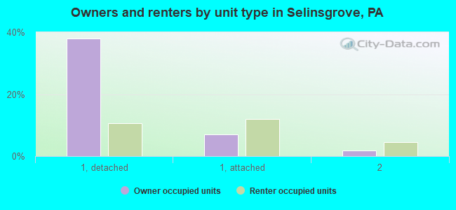 Owners and renters by unit type in Selinsgrove, PA
