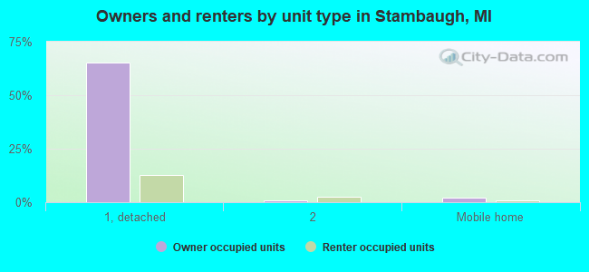 Owners and renters by unit type in Stambaugh, MI