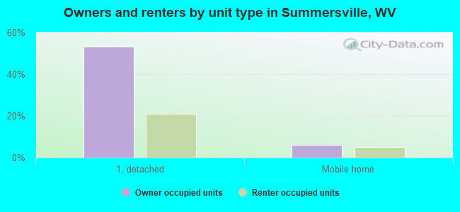 Owners and renters by unit type in Summersville, WV