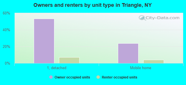 Owners and renters by unit type in Triangle, NY