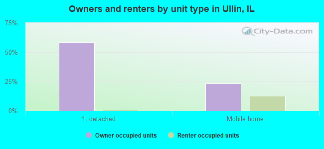 Owners and renters by unit type in Ullin, IL