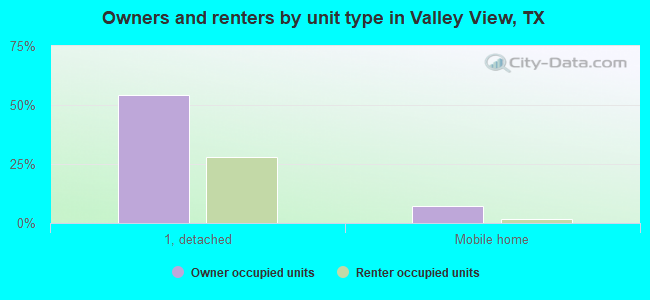 Owners and renters by unit type in Valley View, TX