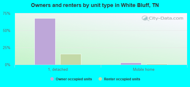 Owners and renters by unit type in White Bluff, TN