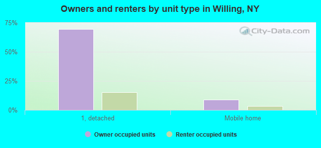 Owners and renters by unit type in Willing, NY