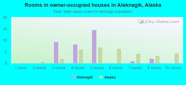 Rooms in owner-occupied houses in Aleknagik, Alaska