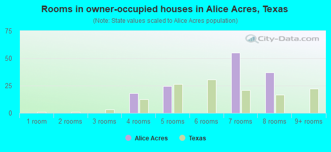 Rooms in owner-occupied houses in Alice Acres, Texas