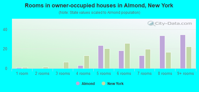 Rooms in owner-occupied houses in Almond, New York
