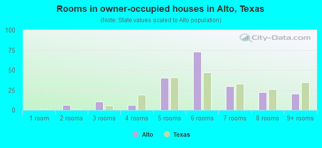 Rooms in owner-occupied houses in Alto, Texas