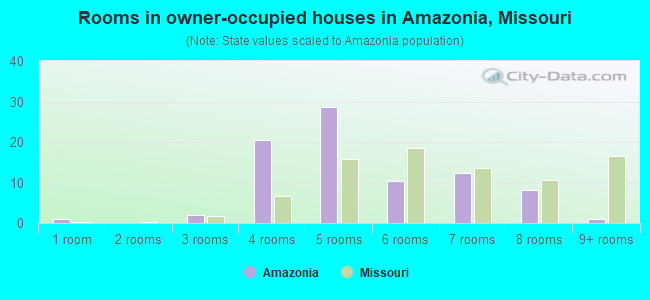Rooms in owner-occupied houses in Amazonia, Missouri