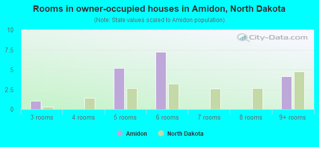 Rooms in owner-occupied houses in Amidon, North Dakota