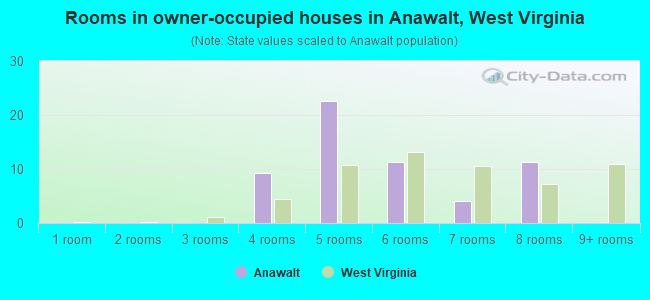 Rooms in owner-occupied houses in Anawalt, West Virginia