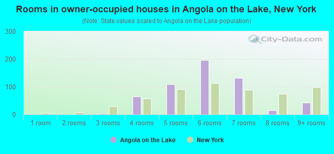 Rooms in owner-occupied houses in Angola on the Lake, New York