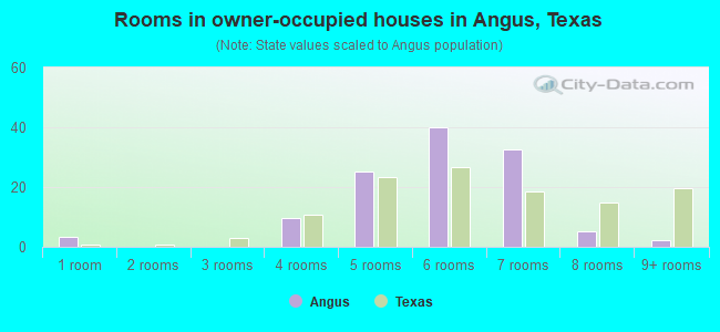 Rooms in owner-occupied houses in Angus, Texas