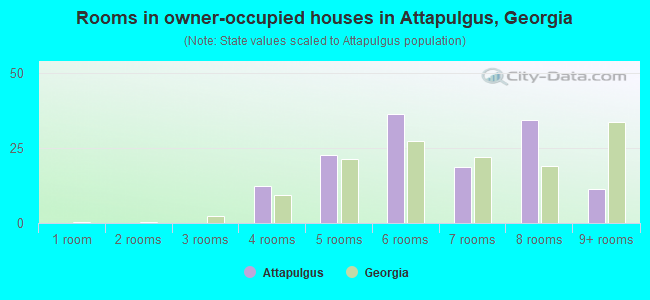 Rooms in owner-occupied houses in Attapulgus, Georgia