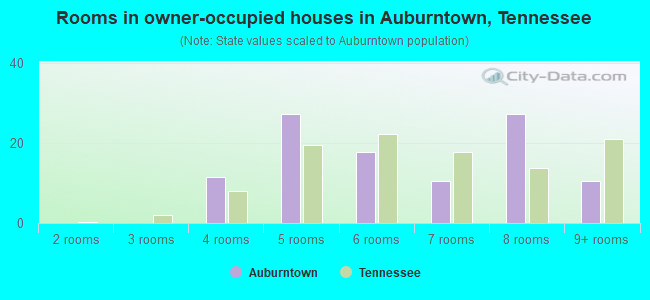 Rooms in owner-occupied houses in Auburntown, Tennessee